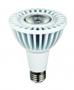 LED COB 13W PAR30