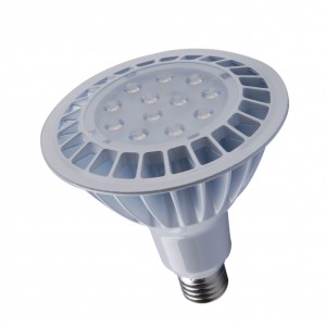 LED PAR38 16W HP